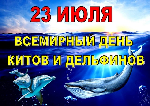 foto 2025 07 23 13 48 001